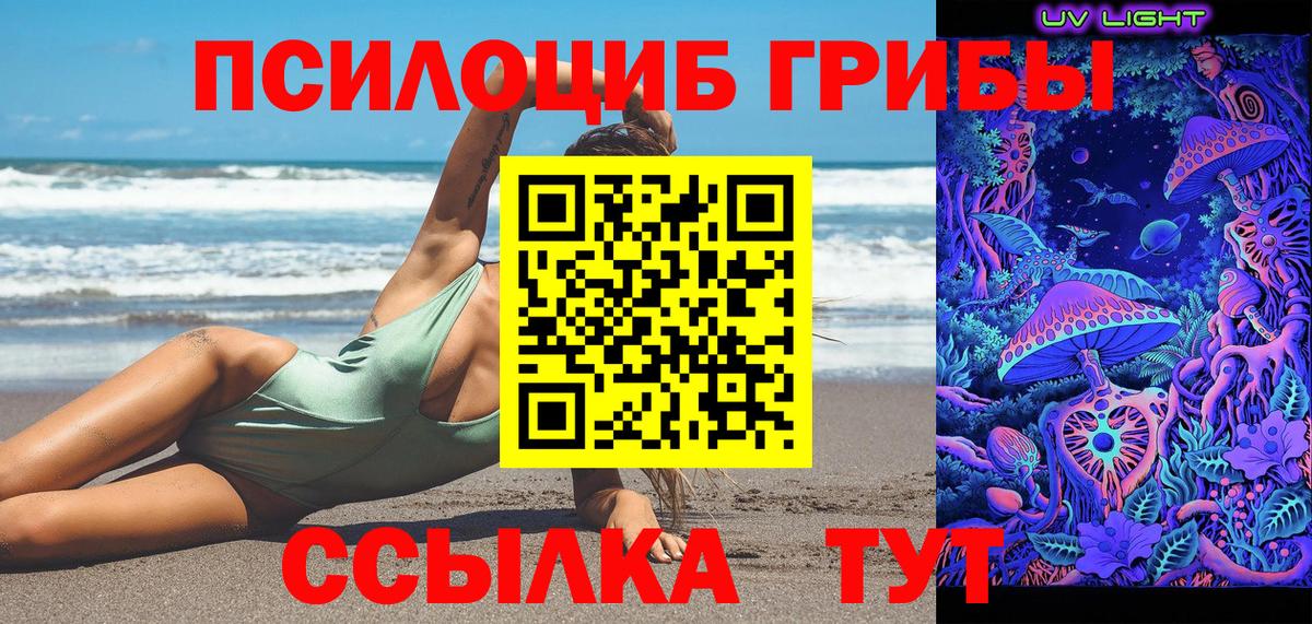 Галлюциногенные грибы Psilocybe  Вход с VPN  Скопин  Галлюциногенные грибы ЛСД 